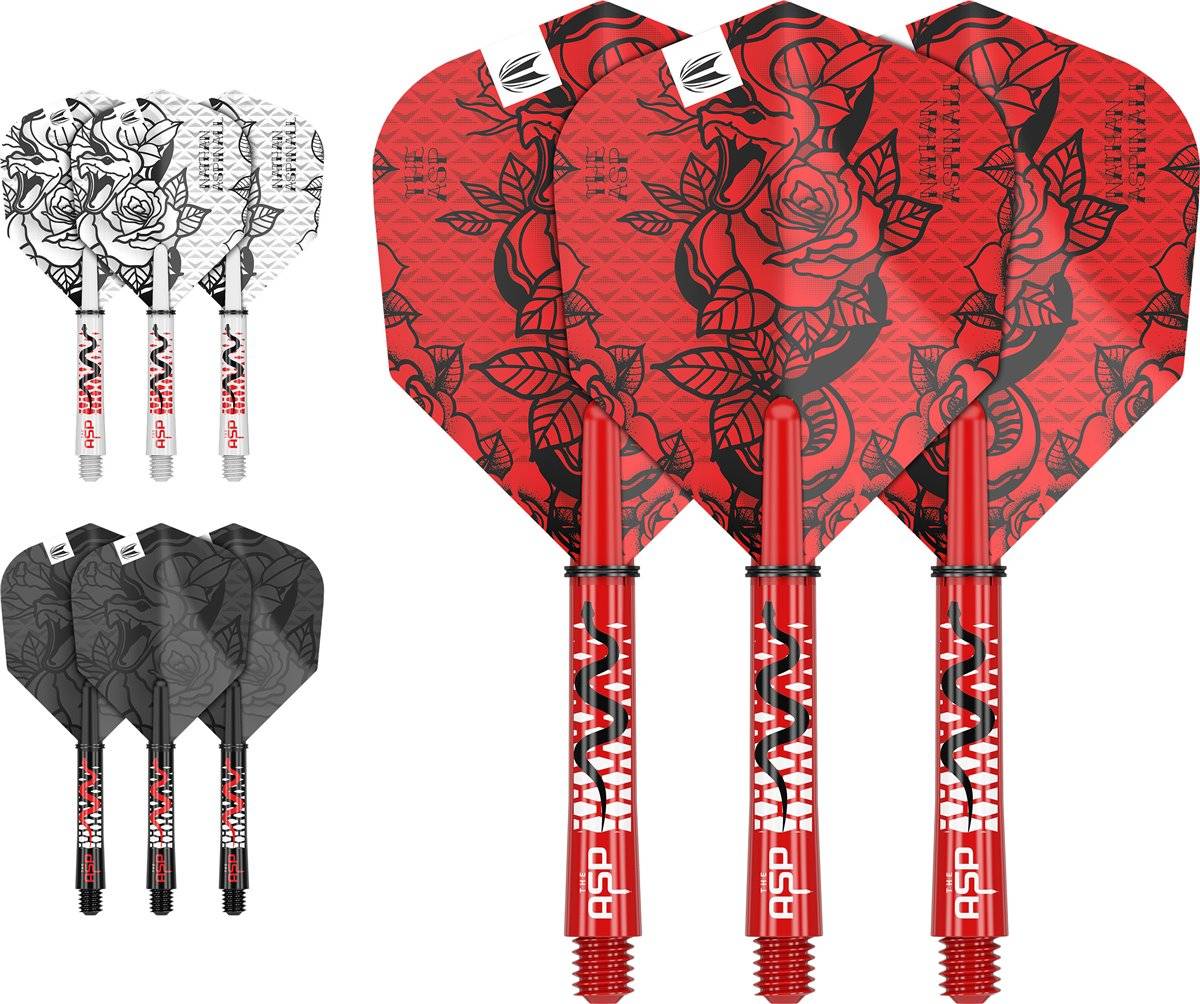 Target 3 Set Shaft/Flights NO6 INK Kit Nathan Aspinall ASP 2023 Flights