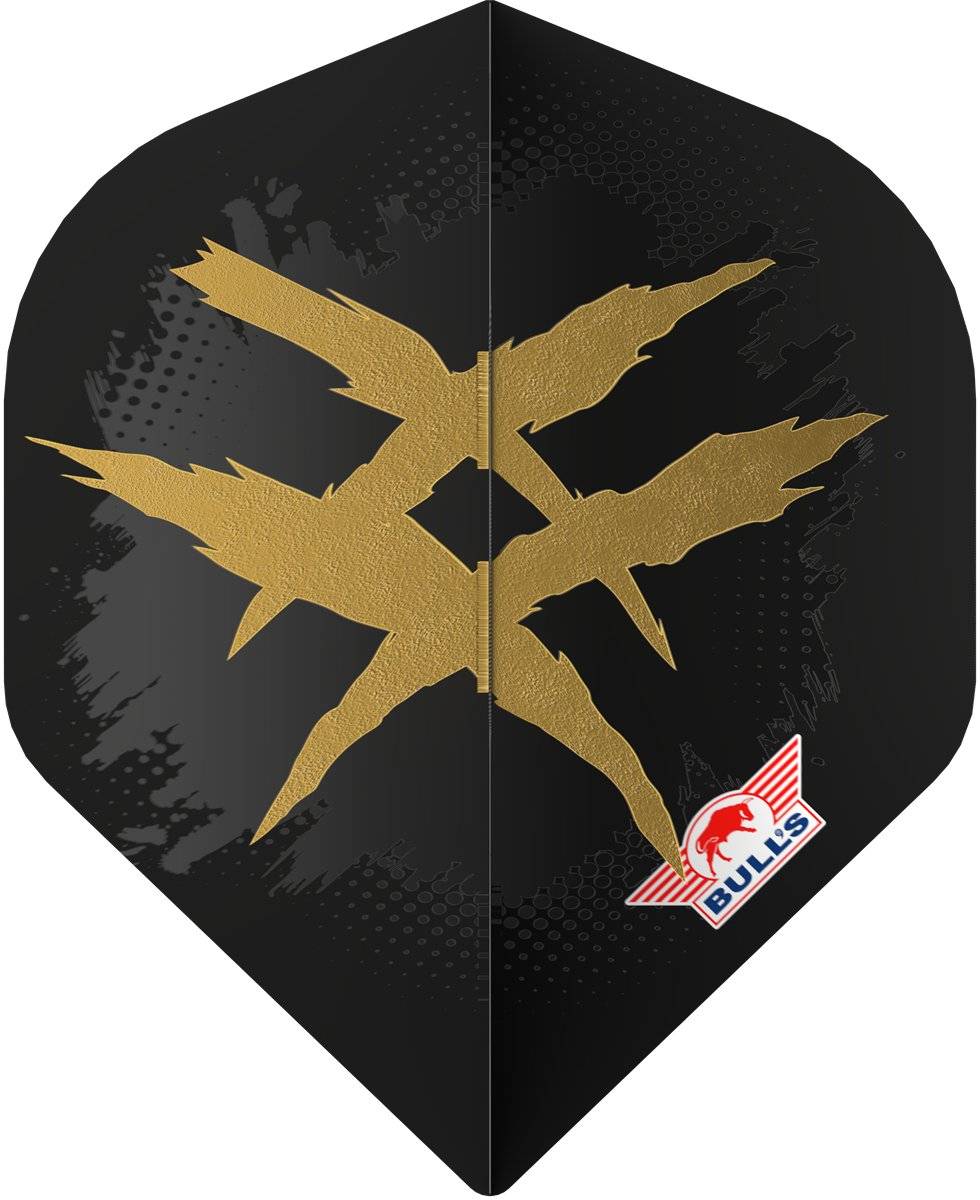 Bull´s Player 100 Richard Veenstra E2 Standard No2 Flights