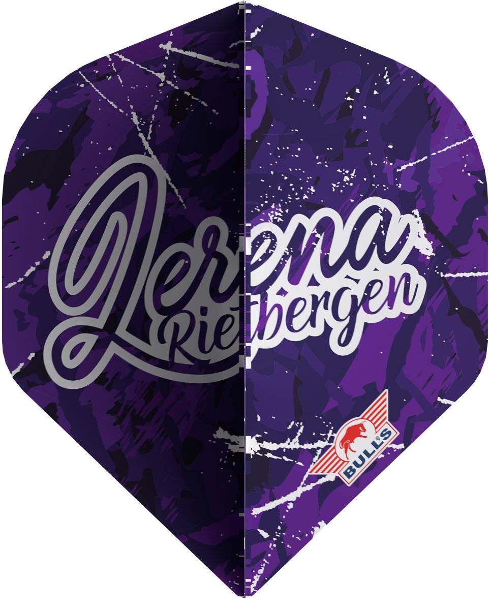 Bull´s Player 100 Lerena Rietbergen Standard No2 Flights