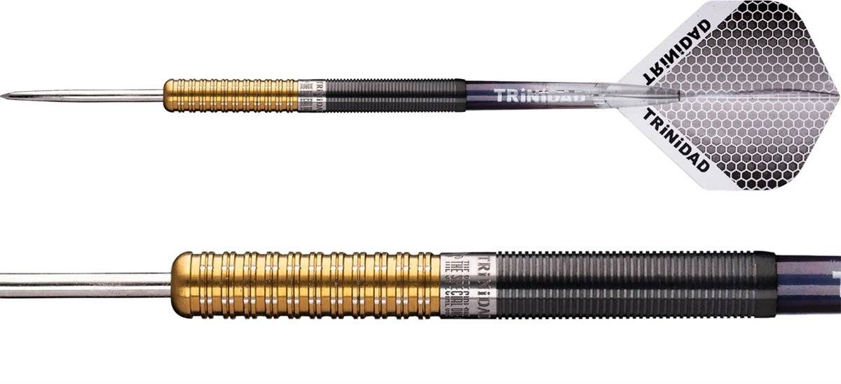 Trinidad Pro José de Sousa 90% Type 2 Gold Limited Model Gold Steeldarts 18 Gramm Steeldarts