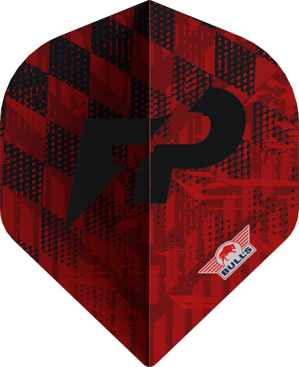 Bull´s Player 100 Florian Preis Standard No2 Flights