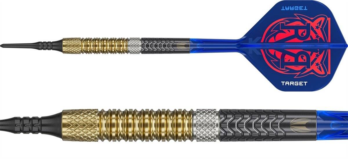 Target Raymond van Barneveld Gen 6 95% Softdarts 18/20 Gramm Softdarts