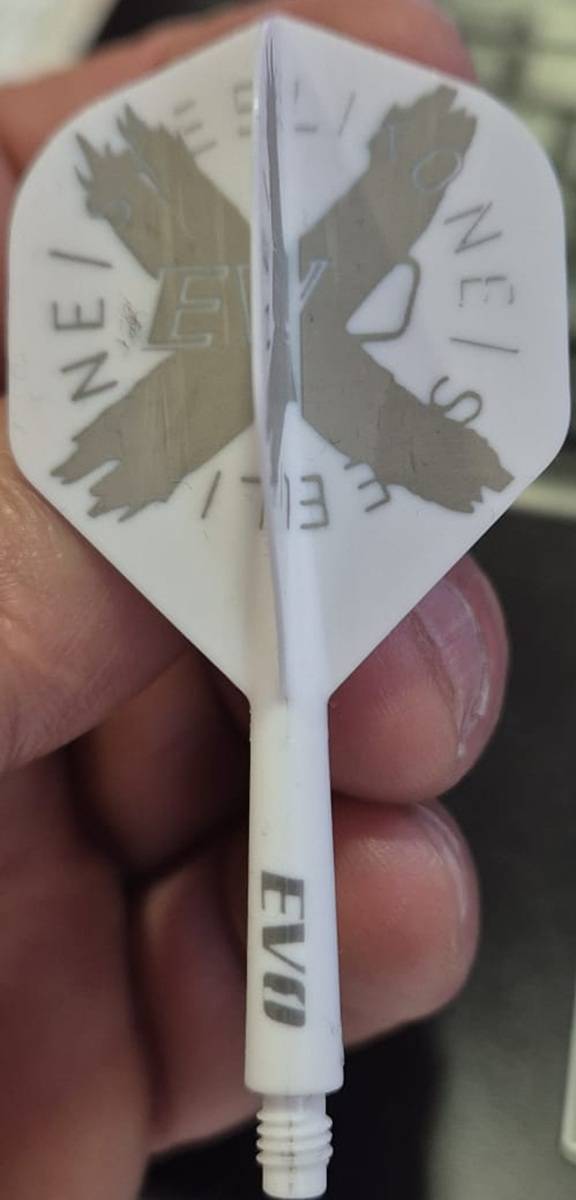 Evolution Evo1 Shaft/Flight System Standard weiß No2 eigenes Bild Logo Text personalisiert Farbige Flights Shafts